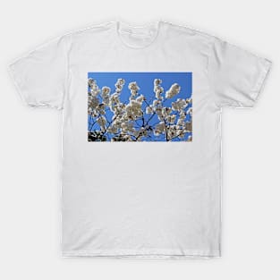 White Cherry Blossom T-Shirt